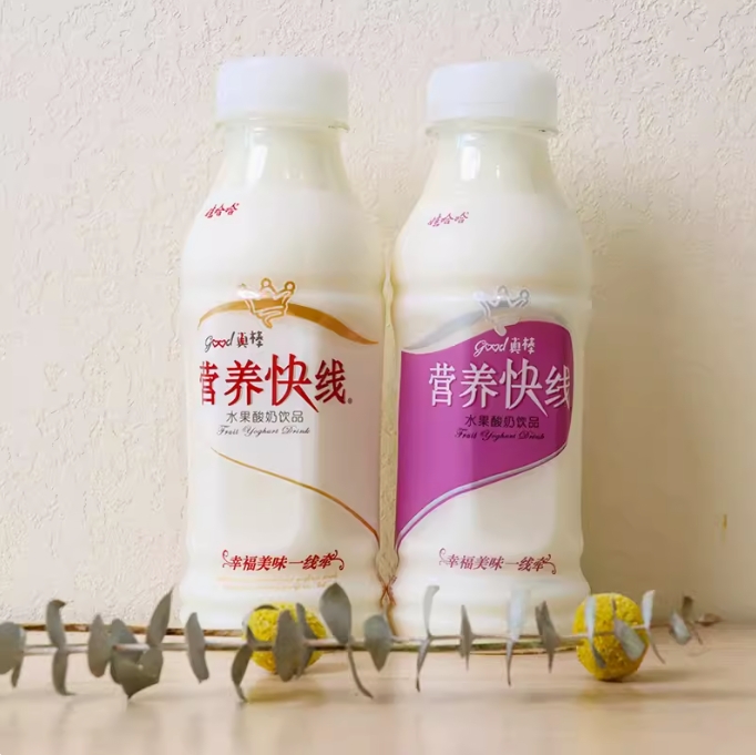 娃哈哈牵线椰子味500ml