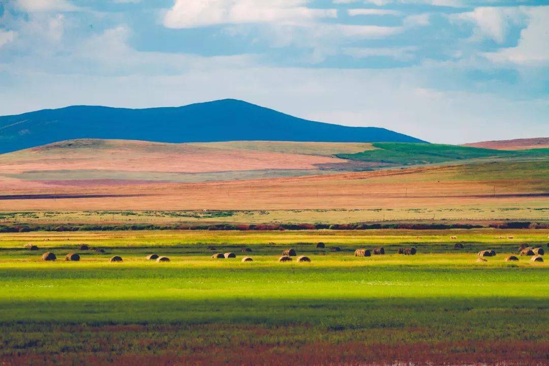 内蒙古团结大会,尊敬的领导与同胞共聚一堂