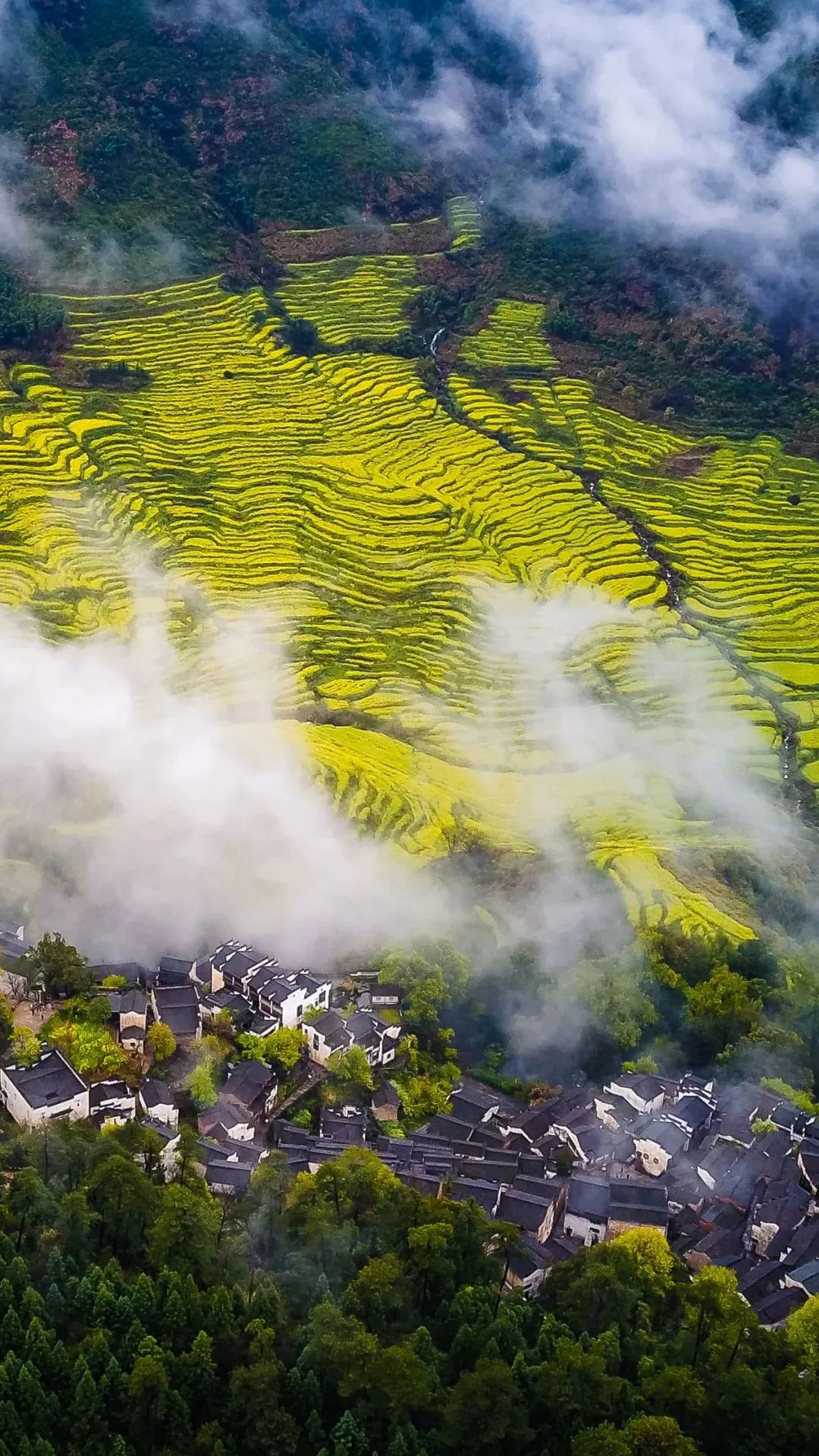 江西,地理、历史与文化的探索之旅