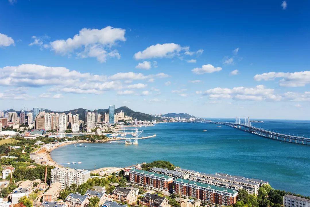 大连夏日温情录，友情、家庭与爱的交织日常