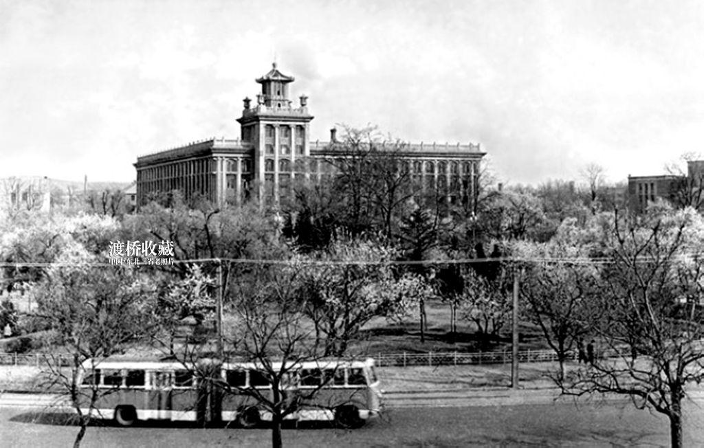 鞍山小巷深处的味觉盛宴之旅